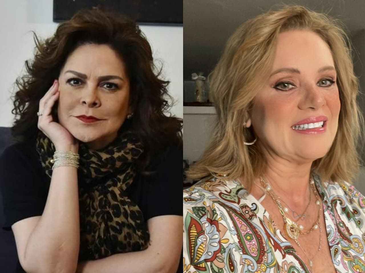 ¿Mara Patricia Castañeda está enojada con Erika Buenfil?