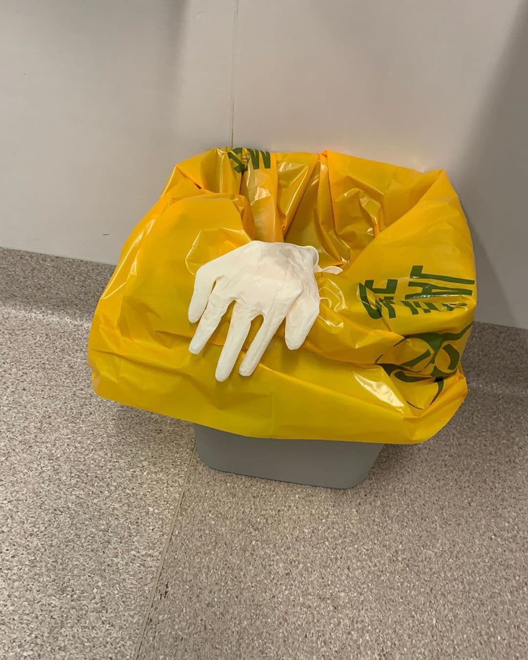 En el pie de foto de la imagen, el protagonista de Un Buen Día en el Vencidario (2019) escribió: "Hola, amigos. Rita y yo estamos aquí, en Australia. Nos sentíamos un poco cansados, como con algo de resfriado y dolor muscular. Rita tenía escalofríos que iban y venían. Un poco de fiebre también".