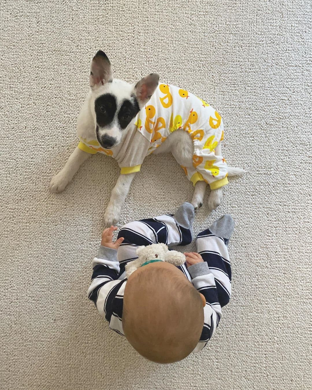 "Les pido que reciban con mucho cariño a la hermanita mas chiquita de la familia", escribió la integrante del dúo mexicoamericano,
<b> <a href="https://www.telehit.com/musica/jesse-joy-tanto-cancion">Jesse & Joy</a> </b>.Con esta nueva adición, la familia de Joy Huerta queda compuesta por ella, Noah (su bebé),
<b> </b>Ramón (su gato), Emma (su perra) y Diana Atri, su esposa, con quien compartió una foto en la que se le ve el rostro por primera vez.
<br>
<br>
<br>