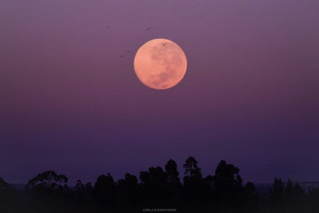 Una captura desde el sur de Latinoamerica, en Chile.