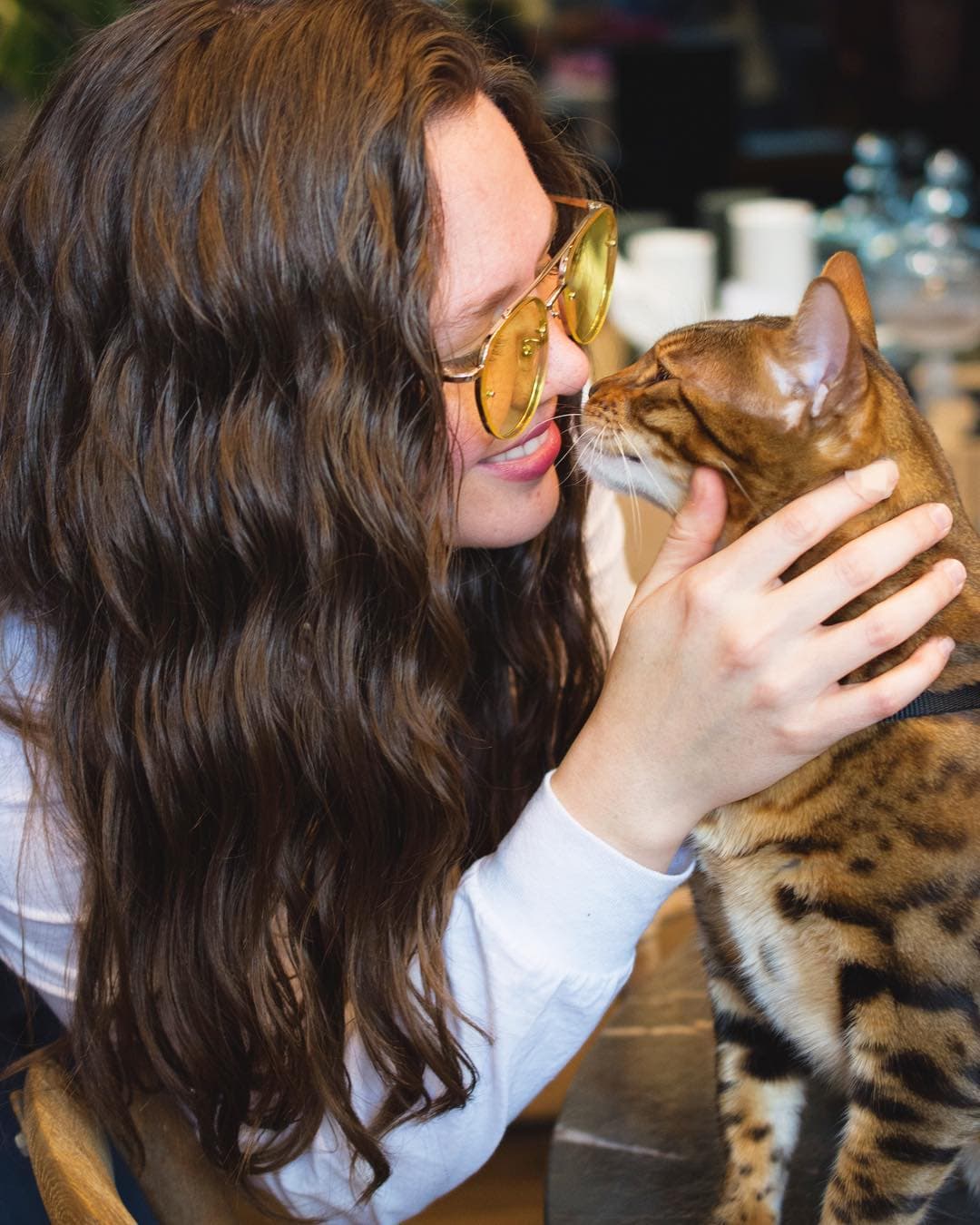 Joy se muestra sumamente feliz en Instagram, donde escribe: "volver a esto, es todo y punto", en referencia a su hija, su esposa y su gato.
<br>
<br>