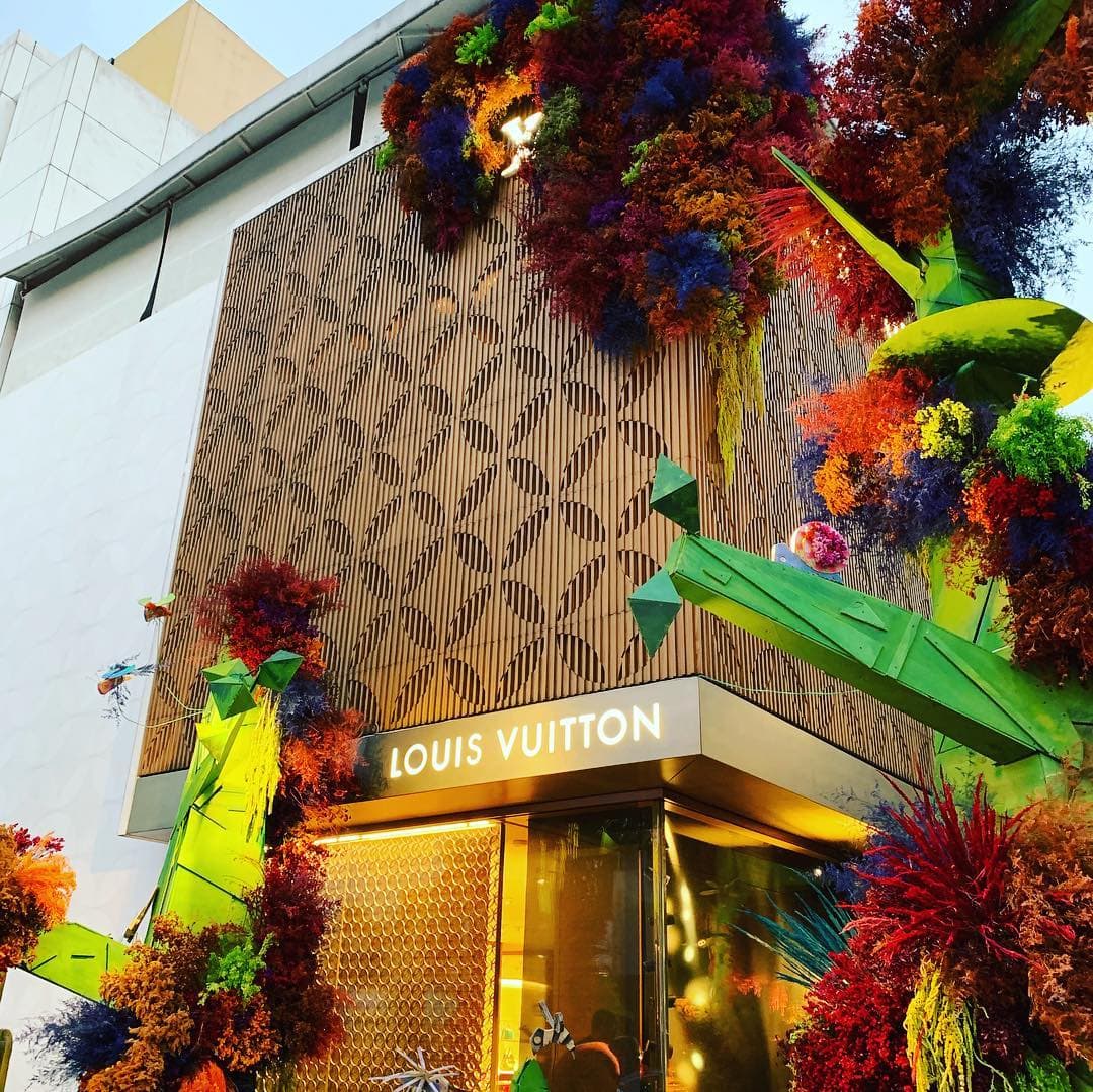 Las elegantes 'boutiques' de Masaryk también se vistieron de flores de todos tipos y colores.