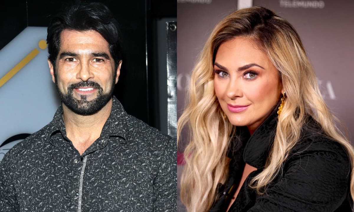 Aracely Arámbula revela que Arturo Carmona ya se disculpó con ella por hablar de su romance