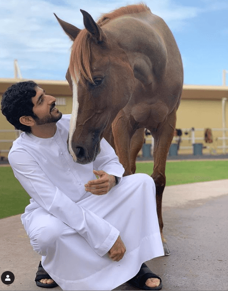 Ávido jinete que ama a los caballos,