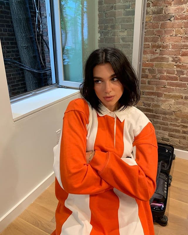Otra famosa que acaba de cambiar su imagen de cabello oscuro a rubio es Dua Lipa.
