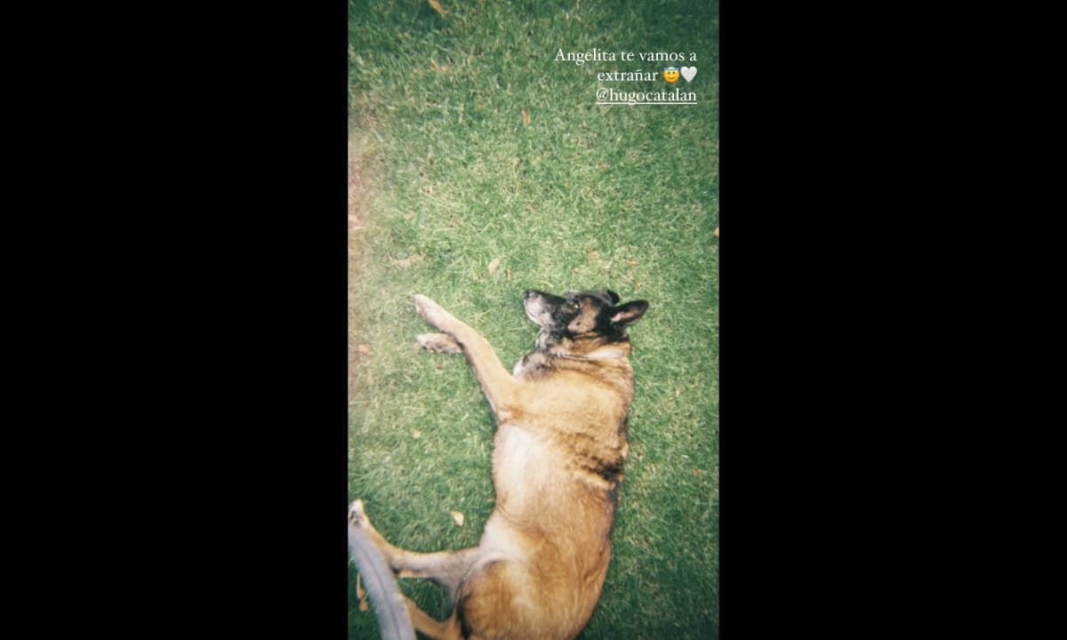 La actriz se despindió y conmovió a sus fans