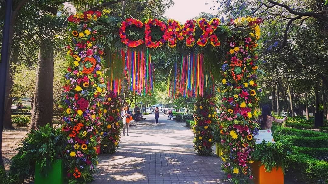 ¿Muros de flores? Podrás ver muchos.