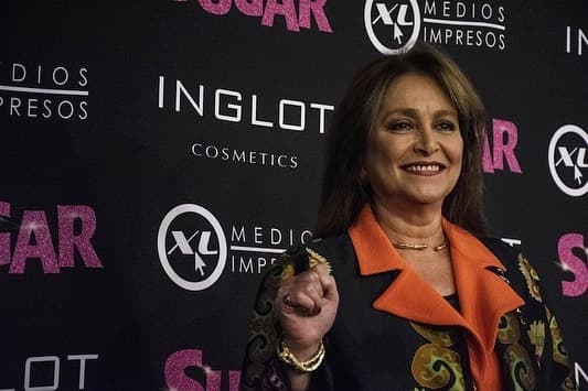 Daniela Romo es dueña de un "pelatzo" envidiable y es una artista que ha sabido ganarse un lugar en el corazón de los mexicanos, pero ¿sabías que en realidad se llama Teresa Presmanes Corona.