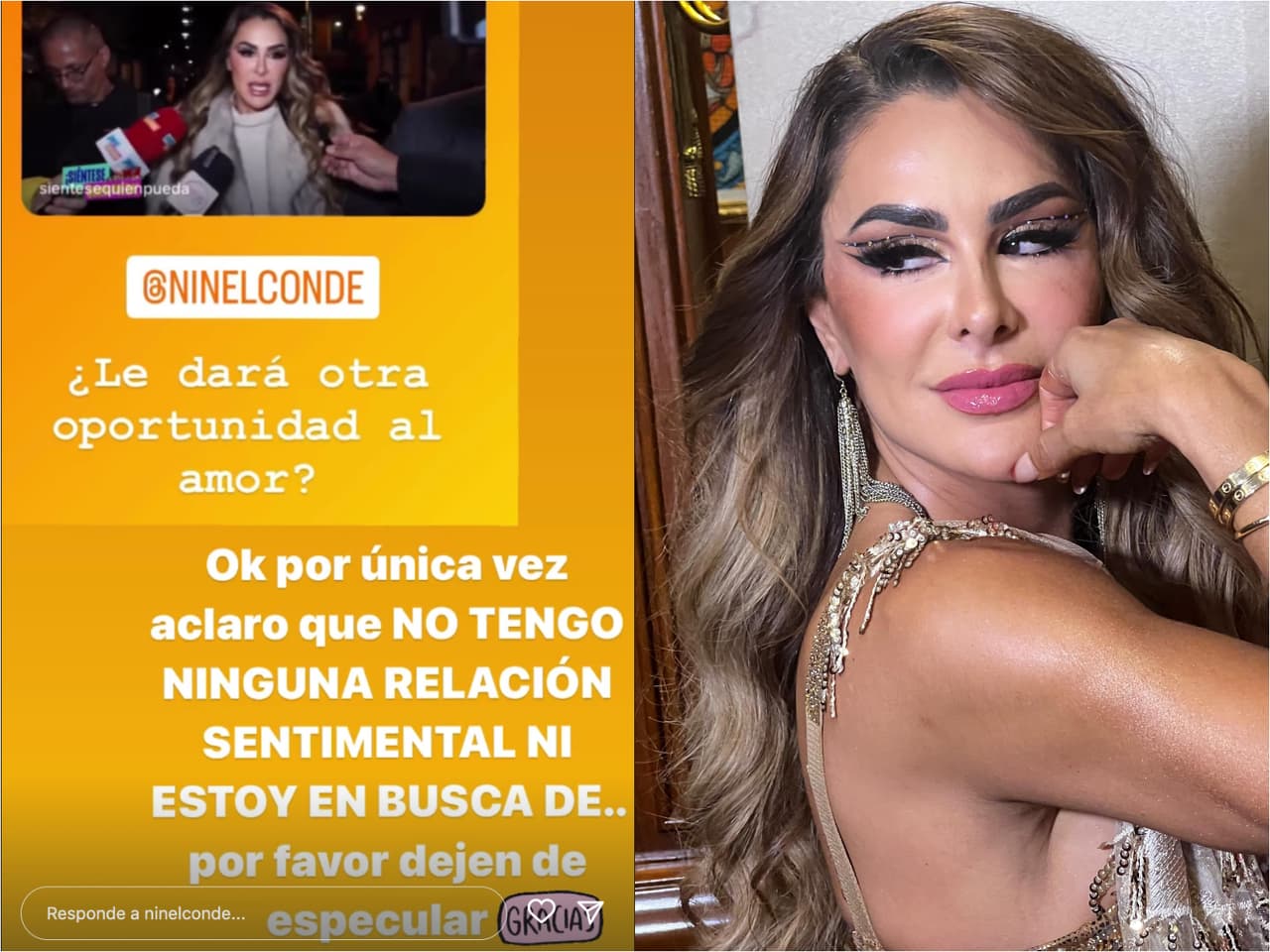 Ninel Conde no está buscando novio.