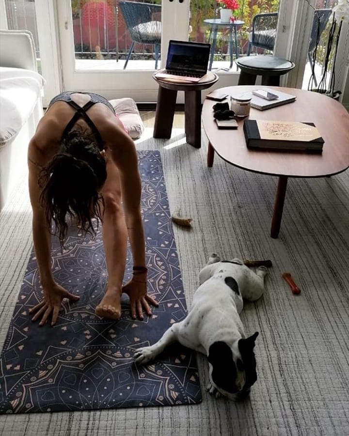 Y en medio de la pandemia que vive el mundo, parece que su relación se ha fortalecido más, pues los dos transmiten, a través de su Instagram, cómo pasan la cuarentena en compañía de su perrita Chata.
<br>