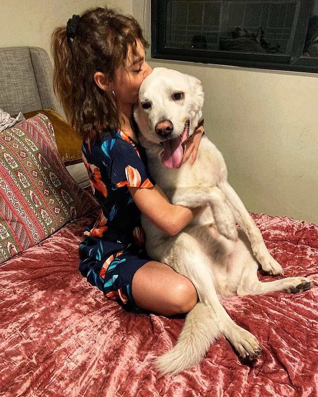 Por si existía la duda de que fuera el tipo de perro consentido que se sube a la cama, he aquí la prueba de que efectivamente lo es.