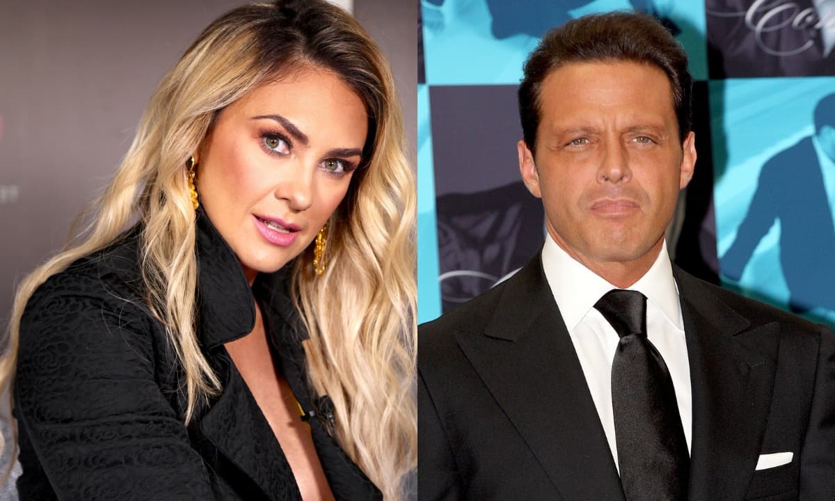 ¿Por qué se separaron Luis Miguel y Aracely Arámbula?