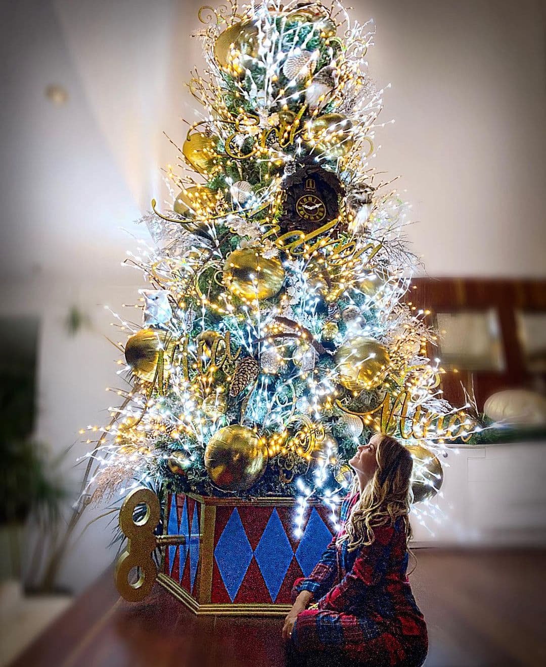 Al igual que el oso, las esferas que adornan su árbol de Navidad son enormes de color dorado, y las acompaña una serie de luces blancas. Lo que más llamó la atención de sus seguidores fue la base, que simula que el árbol sale de una caja de música.
<br>
<br>“La magia se produce cuando sonríes… Un árbol en una caja musical, con búhos hermosos entre sus ramas y un reloj cucú que canta cada hora. Es HERMOSO!!”, escribió la conductora para presumir su árbol.
<br>