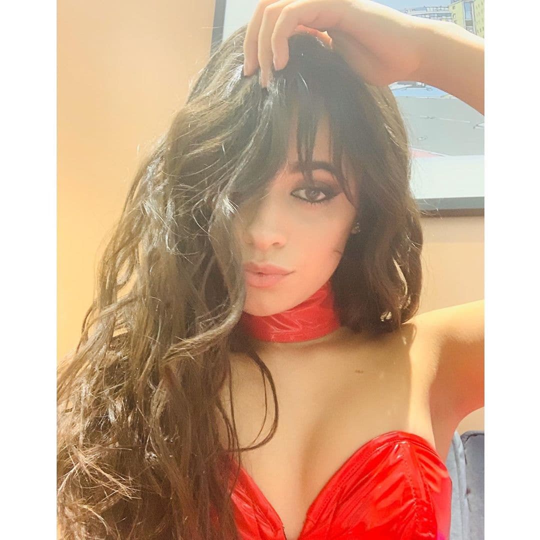 “Estas fotos me han dejado sin palabras. Estoy enviando amor a todos los afectados por estos incendios terribles”, expresó Camila Cabello en su Instagram. A través de sus historias compartió algunos enlaces con información importante para todos los que deseen ayudar económicamente.