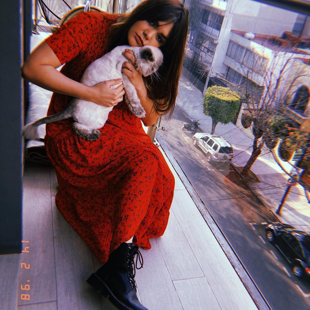 Quien recientemente habló sobre su trastorno de ansiedad social, o también conocida como fobia social, fue la cantante mexicana Yuridia. Luego de un altercado con una reportera quien la persiguió en un aeropuerto, interprete habló sobre su condición y los problemas que esto representan no sólo para su vida cotidiana, sino también como figura pública.