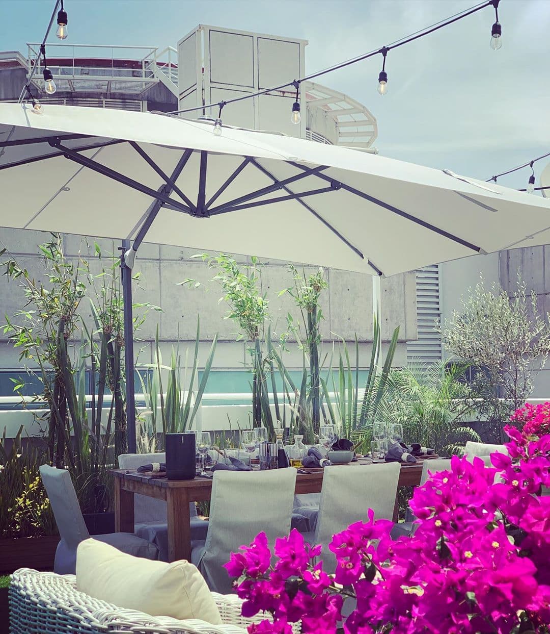 Con luces coltantes y sombrillas alrededor de la mesa. Rodeada con plantas verdes y bugambilias que le dan un ambiente muy fresco al espacio.