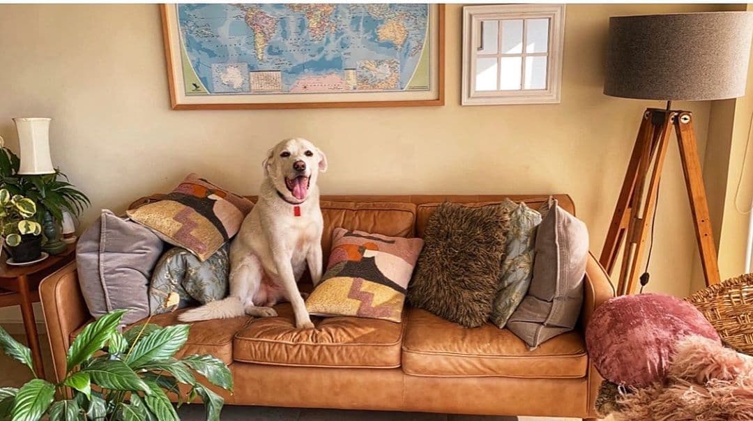 En cuanto a la decoración de su hogar, la actriz de 34 años disfruta de un espacio rodeado de plantas, muebles rústicos y algunos elementos que combinen diferentes texturas y colores, como estos increíbles cojines para sofá.